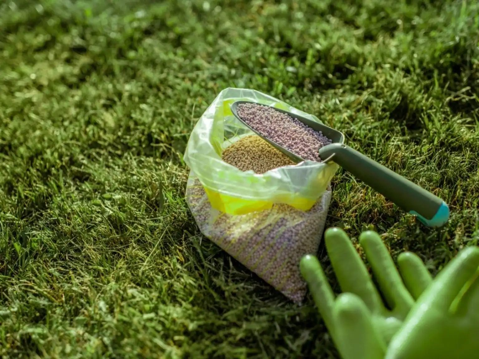 Affordable Fertilizers Wholesale