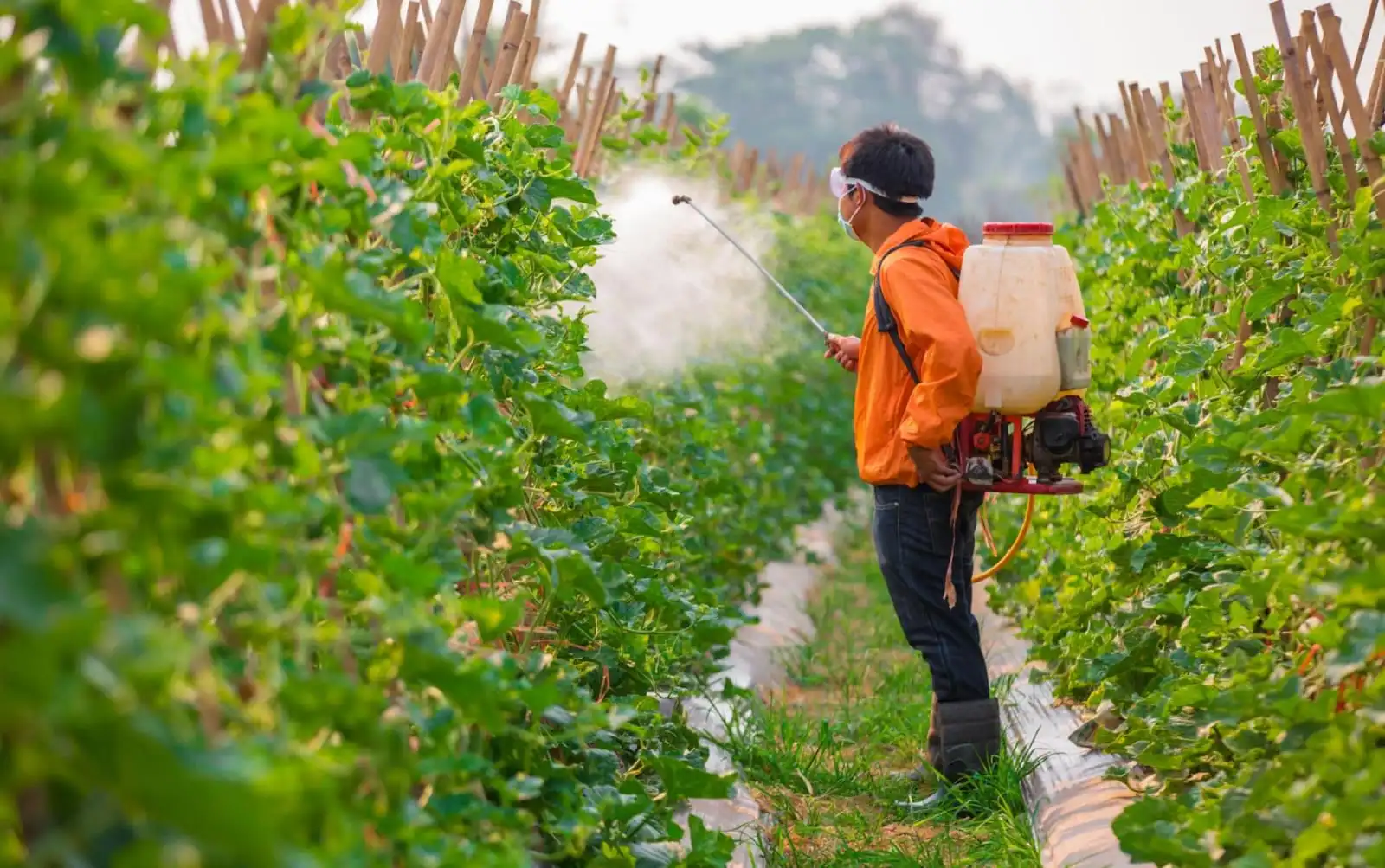 Crop Protection Products