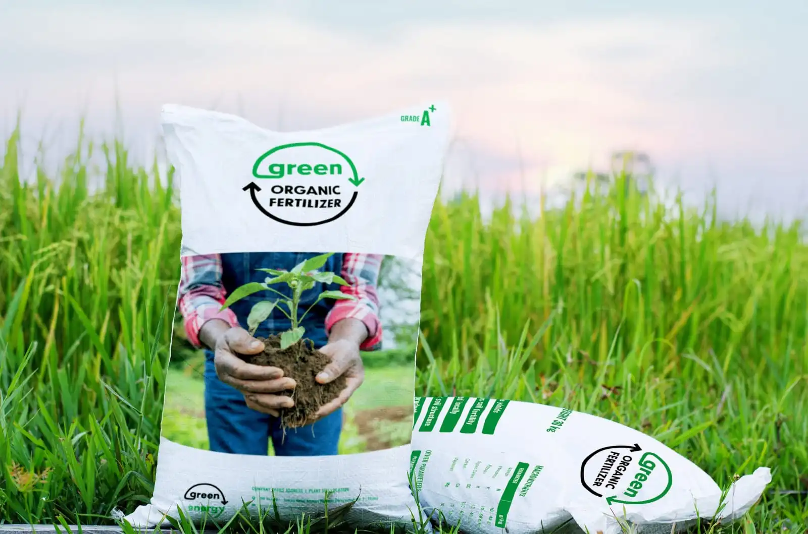 Organic and Chemical Fertilizers