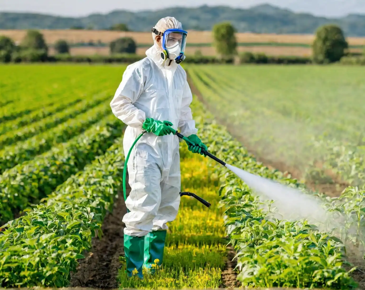Safe Pesticide Spray with Mask