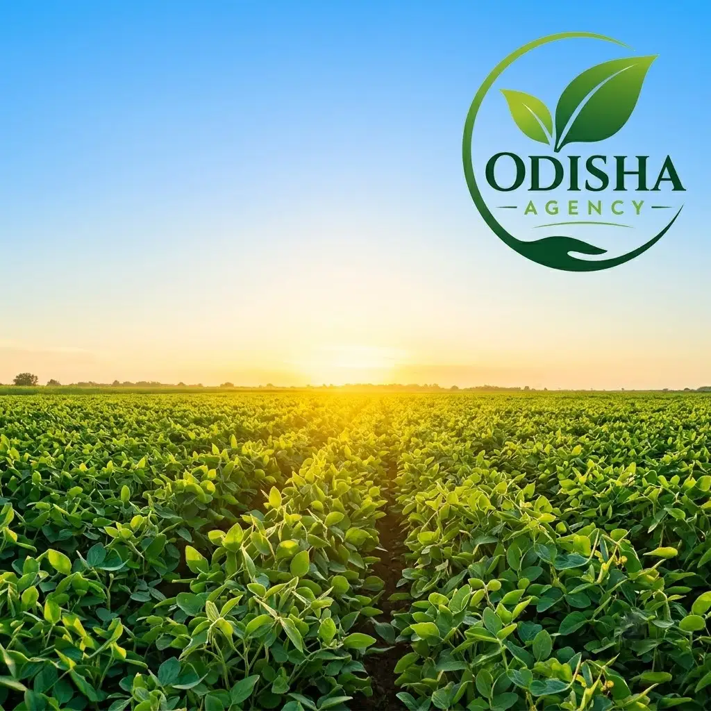 Agriculture Nursery - Odisha Agency